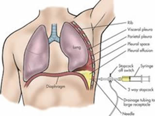 University, Polytechnic, School Science and Teaching Devices